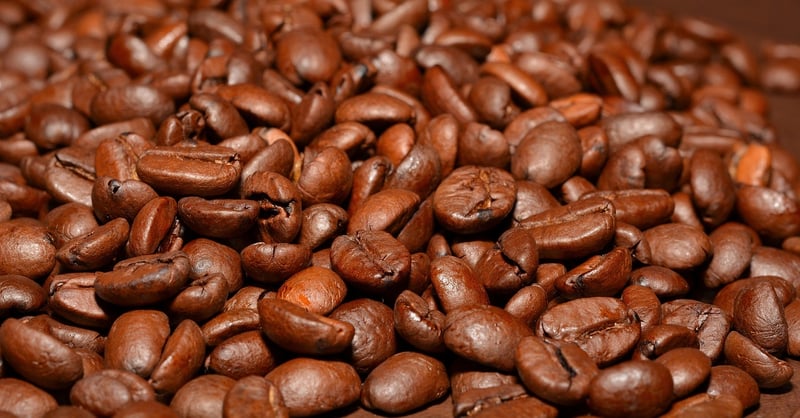 Transformation Brews